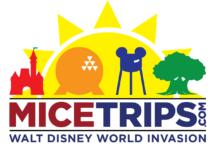 Micetrip – Join Us for the Micechat Sip & Nibble and Caribbean Cruise October 2019