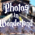 Photos in Wonderland banner.