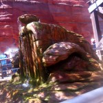 CarsLand-2