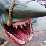 Jaws trophy shark