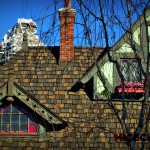 Fantasyland roof