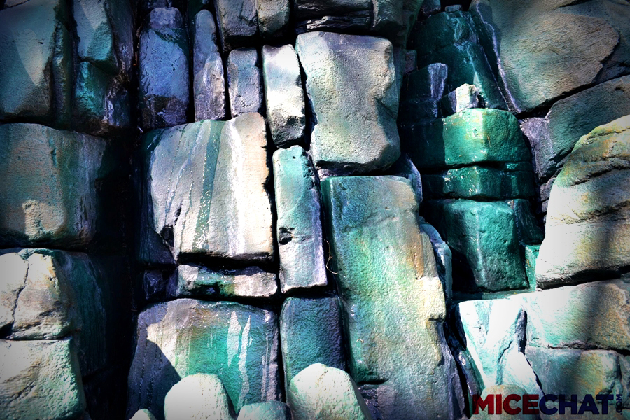 Disneyland, Photos in Wonderland – The Disneyland Difference