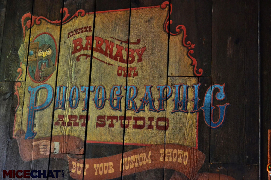 Disneyland, Photos in Wonderland – The Disneyland Difference