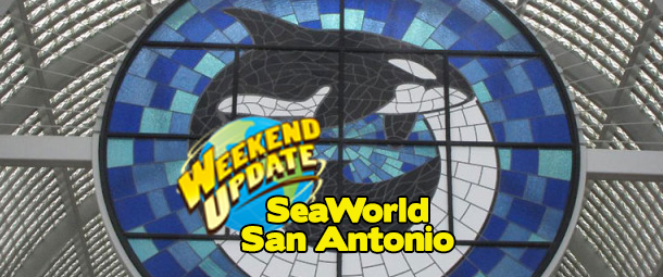A Grand Circle Tour of SeaWorld San Antonio