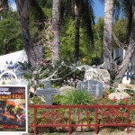 Fright Fest Entry