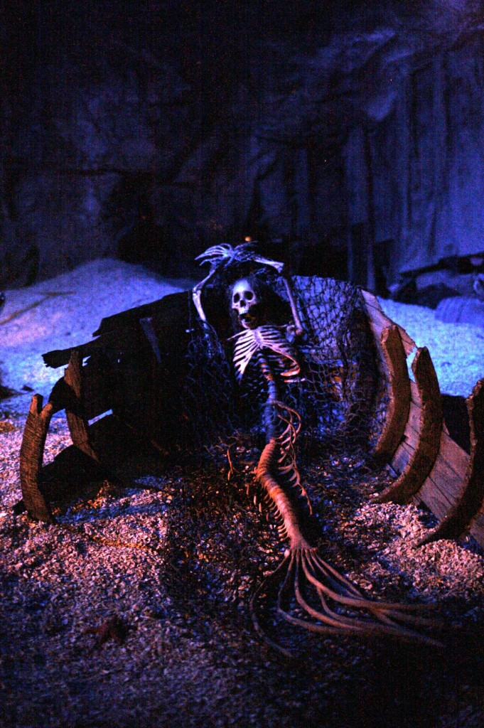 disney world, Mermaids and Bears at Disney World