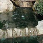 pic2