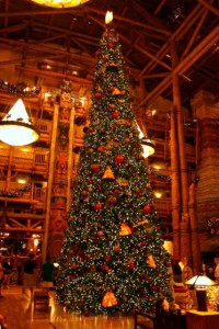 disney vacation club, Should You Rent Disney Vacation Club Points?