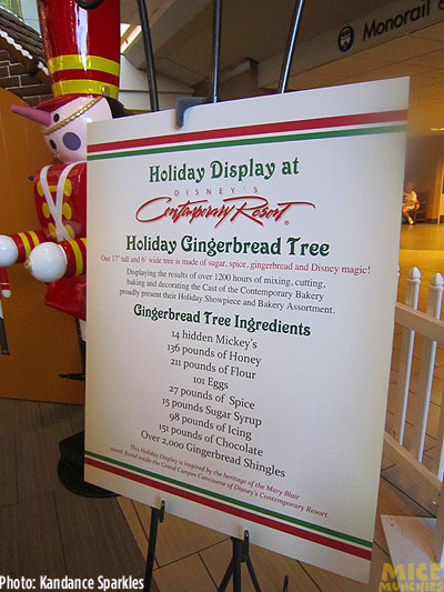 011 Disney World, Christmas Treats From Around the Disney World