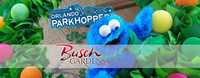Christmas is on its way at Busch Gardens Tampa