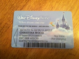 disney world, Top 10 Questions About Visiting Walt Disney World