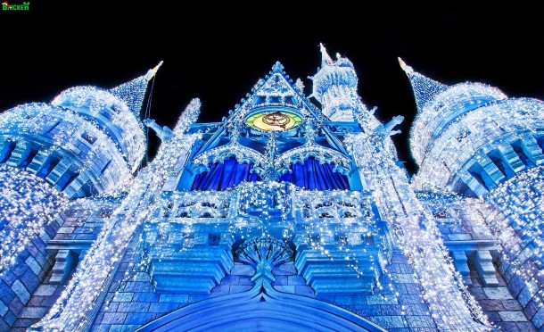 Disney Vacation, Should You Add Insurance to Your Disney Vacation