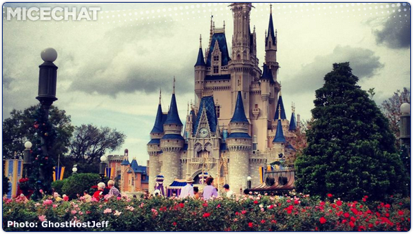 Disney News, MiceAge Disney Newsletter: Christmas Crowds, Autotopia Rumors, Disneyland Dogs and More