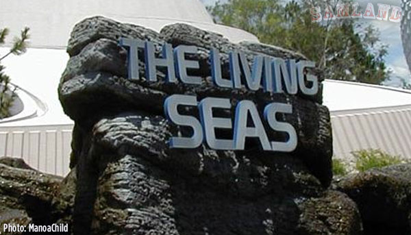 ls disney world, Notes from Disney World Part Two