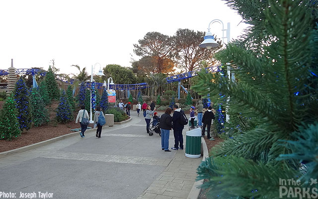 IMAGE029 SeaWorld, The SeaWorld San Diego Post-Holiday Round Up