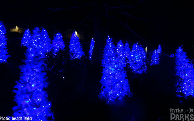 IMAGE033 SeaWorld, The SeaWorld San Diego Post-Holiday Round Up