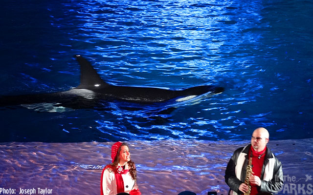 IMAGE045 SeaWorld, The SeaWorld San Diego Post-Holiday Round Up