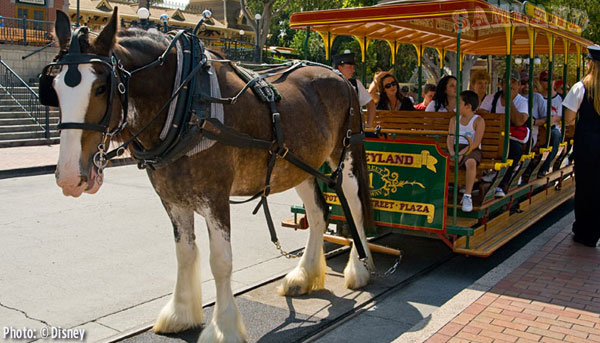 pic3 disneyland main street, Disneyland Main Street: Form Follows Function