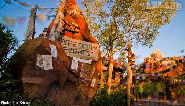 My Disney Experience, Sam Examines the Small Print Behind the My Disney Experience Program