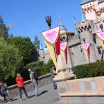 IMG_0039