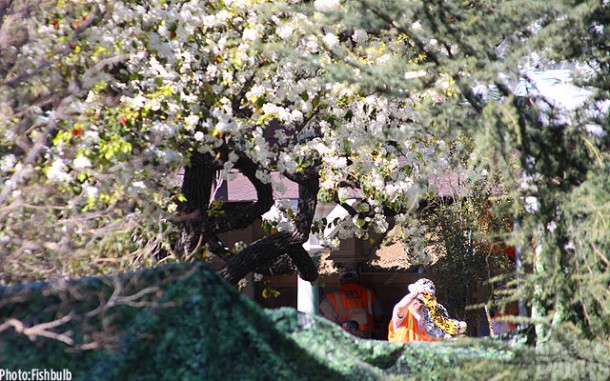 Disneyland, In The Parks: Love in the Air, Refurbs on the Ground