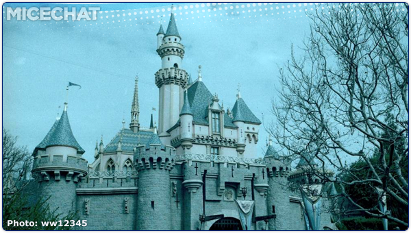 Disney News, MiceAge News Round Up: Tony Baxter Moves On, Vintage Pictures and Construction Updates