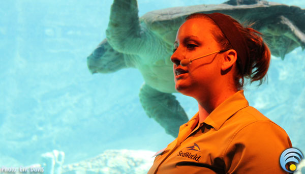 customs6 seaworld, Unofficial SeaWorld Podcast and Park Update