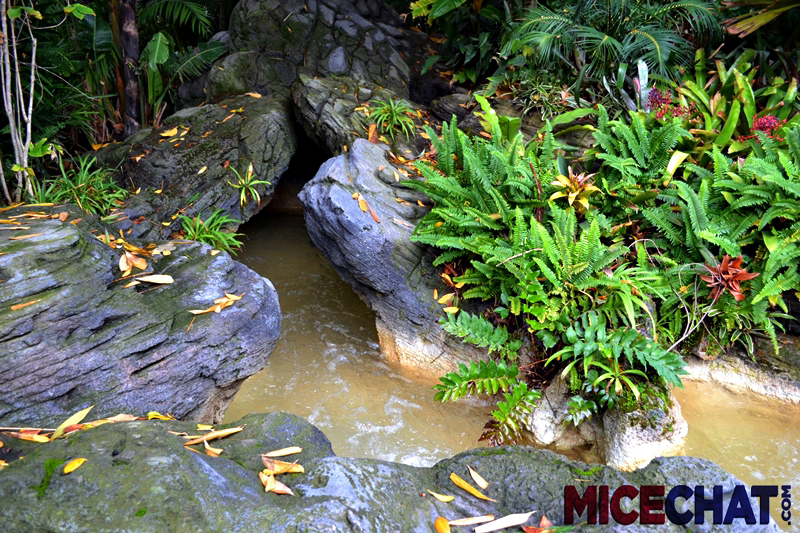 adventureland, Photos In Wonderland – Themed Design Of Disneyland’s Adventureland