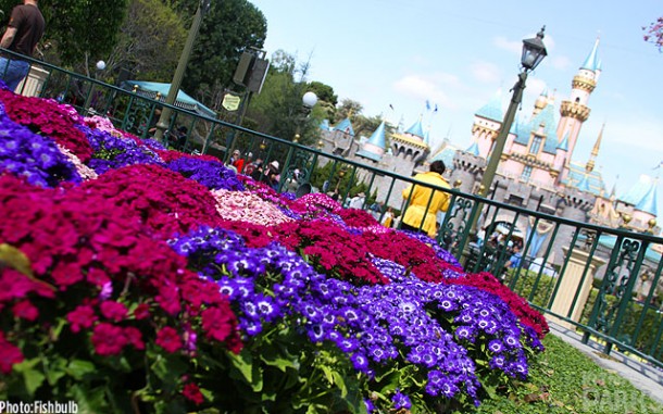 IMG_1784 disneyland, In The Parks: Disneyland Opens Fantasy Faire Village