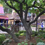 IMG_1815