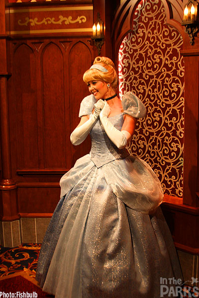 IMG_1897 disneyland, In The Parks: Disneyland Opens Fantasy Faire Village