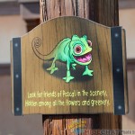 IMG_9292_zps9ba76213