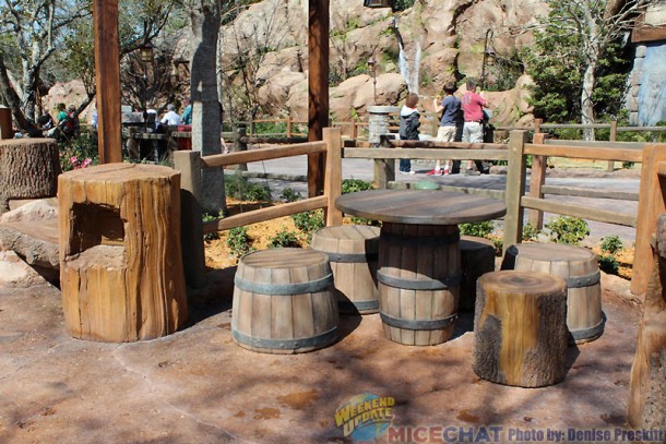 Walt Disney World, Walt Disney World Unveils Tangled Toilets in Magic Kingdom