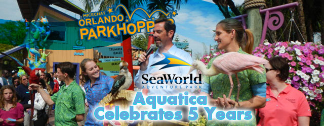 Seaworld Orlando Aquatica Celebrates 5 Years