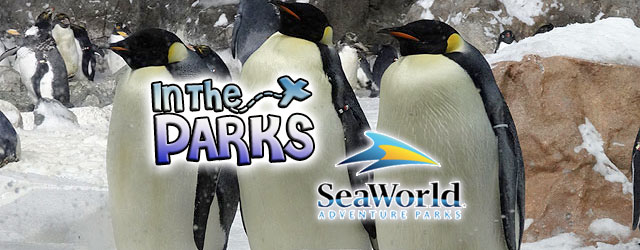 SeaWorld San Diego Approaches 50th Anniversary