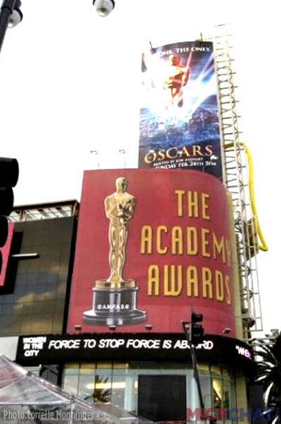 the oscars, The Oscars: Reflections of a Golden Eye, What Oscar Sees&hellip;
