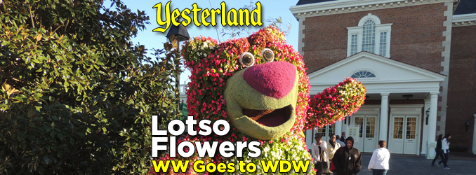 More Flowers & Gardens at Epcot