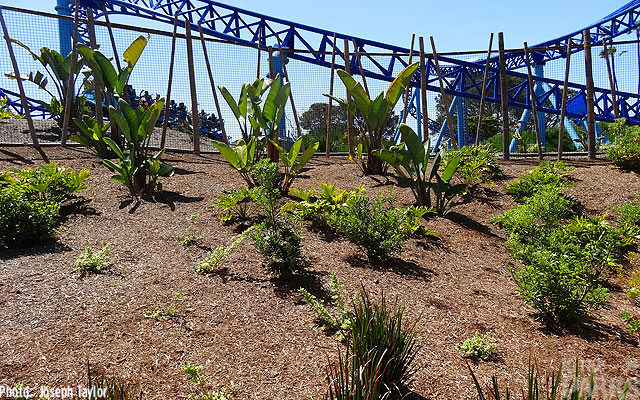 , SeaWorld San Diego: Putting It Together