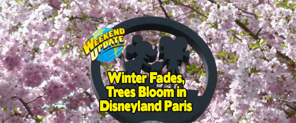 Long Winter Comes to an End, Trees Bloom at Disneyland Paris