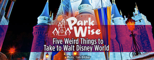 Five Weird Things We Take to Walt Disney World