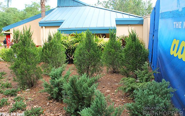 IMG_4927 seaworld orlando, SeaWorld Orlando Inches Closer to Antarctica
