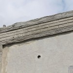 IMG_5634