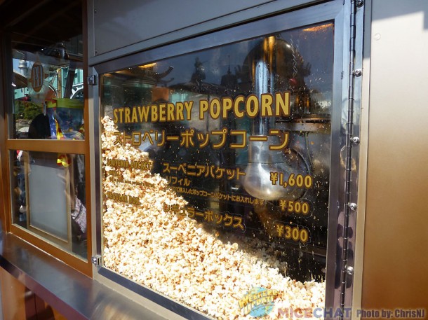 P1010467_zpsbaed2bc5 Tokyo Disneyland, Epic Trip to Tokyo Disneyland: Final Day, Final Thoughts