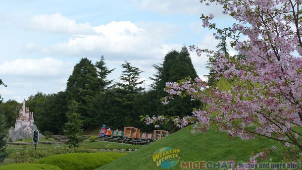 Disneyland Paris, Long Winter Comes to an End, Trees Bloom at Disneyland Paris
