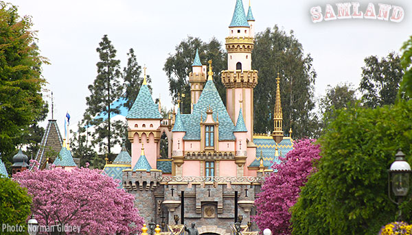 disneyland, SAMLAND: Disneyland the Exceptional, Acceptable, and Regrettable