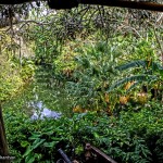 Adventureland 5