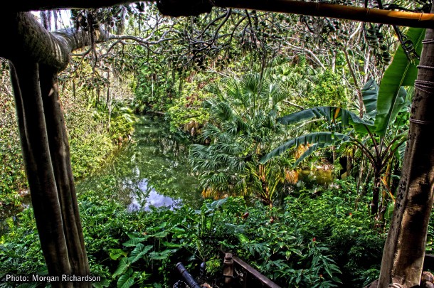 Walt Disney World, Designed to Thrill: Walt Disney World Photo Report
