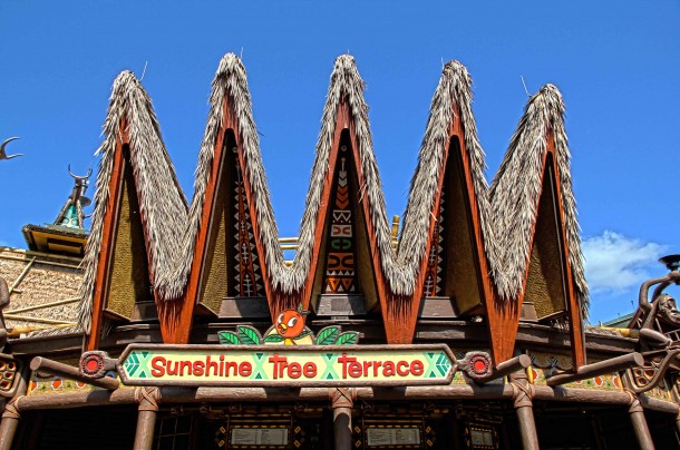 Walt Disney World, Designed to Thrill: Walt Disney World Photo Report