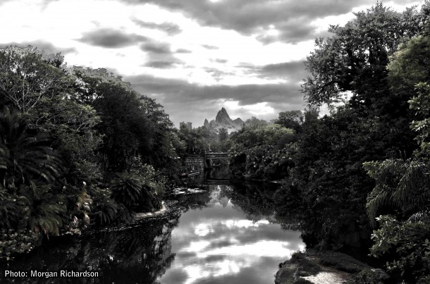 Walt Disney World, Designed to Thrill: Walt Disney World Photo Report