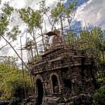 Animal Kingdom Asia